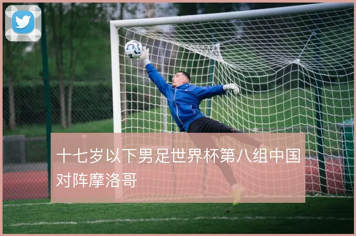 十七岁以下男足世界杯第八组中国对阵摩洛哥