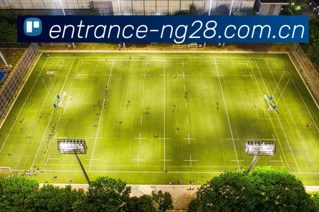 ng28APP 赛事界面图